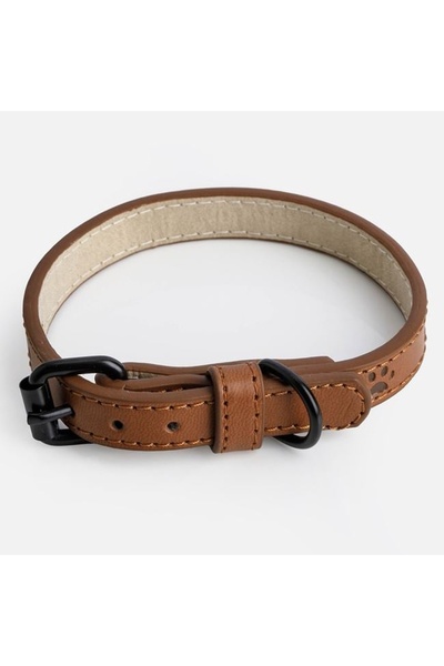 ELITECOMMERCEMARKET Zgarda Caine Maro 35x1,5cm