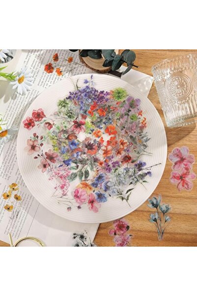 KASTWAVE 50 Pcs Transparent Flower Stickers, PET Wildflower Decals, Vintage N...