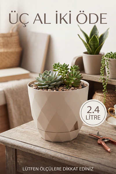 TEMMUZ HOME 3 No 2.4 Litre 1 Adet Yakamoz Çiçek Ve Kaktüs Saksı