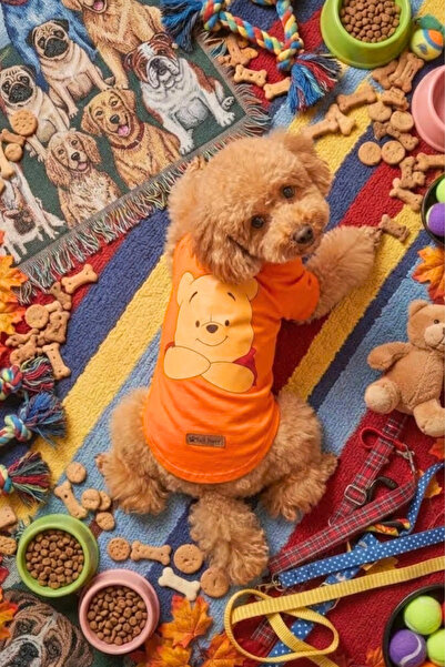 Tail Story Köpek Tişörtü, Pamuklu Penye Kumaş, Küçük ve Orta Irklar İçin İdea...