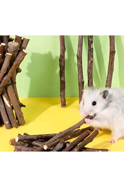 Genel Markalar Doğal Elma Ağacı Kemirme Dalı 20'li Paket (En Az 2 Adet Satın Alınabilir) - Tavşan Hamster Guinea Pig İçin Diş Sağlığı Oyuncağı