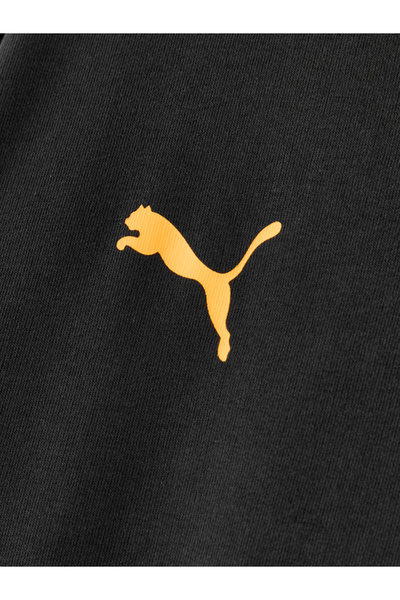 GSStore Galatasaray Puma ESSENTIAL Sweatshirt 78683726