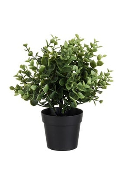 OEM Ghiveci Decorativ din Plastic Negru cu Planta Buxus Ø9x25cm