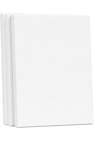 Generic 100% Cotton Canvas Blank 3 Pack, 100% Cotton Blank Canvas for Artists, Canvas Panels for Painting, A