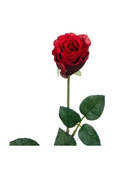 OEM Floare Artificiala Trandafir Rosu 60cm