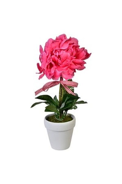 OEM Ghiveci Decorativ Ceramic cu Planta Artificiala Ø30cm