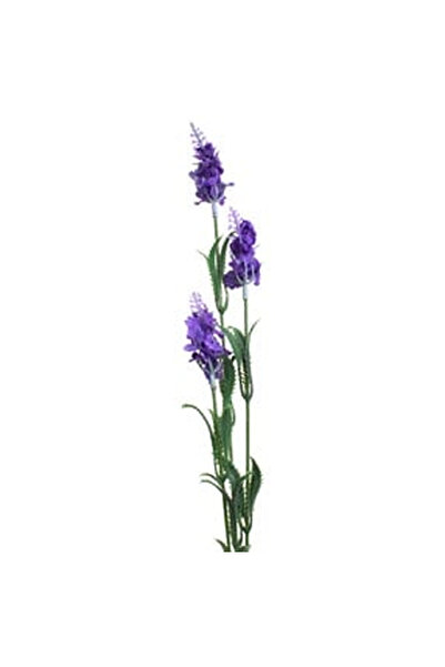 OEM Ramura Artificiala de Lavanda cu 3 Flori Mov 65cm