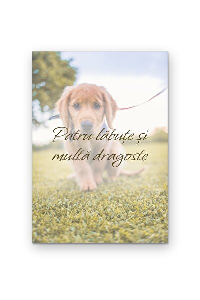 OEM Poster Carton 250g A4 Patru lăbuțe și multă dragoste, Decorațiune perete ...