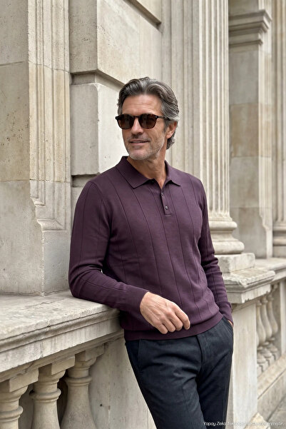 Çizgi Triko Men's Polo Collar Plum Sweater Vertical Striped Knitwear Classic ...