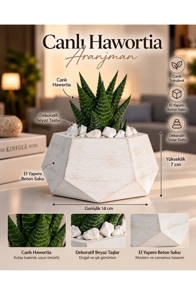 muga design Mia Canlı Hawortia Sukulent Aranjmanı – El Yapımı Geometrik Beton...