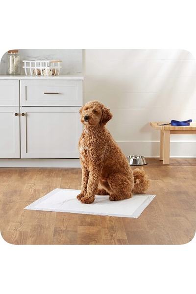 NO BRAND 50 BUCĂȚI COLOȚE ABSORBANTE DE HIGIENĂ 60x90 CM, CĂPTUȘELĂ PENTRU AN...