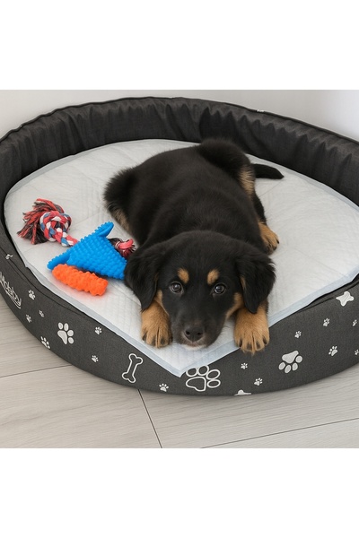 NO BRAND Tampoane absorbante DAZA 60x90 cm pentru animale 100 bucăți igienă