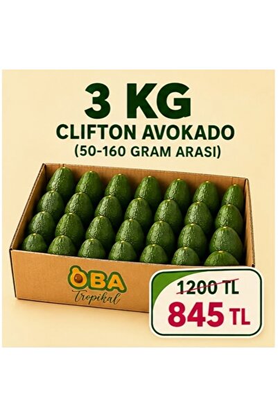 Oba Tropikal Clifton Avokado 3 kg (50-160 g Arası)