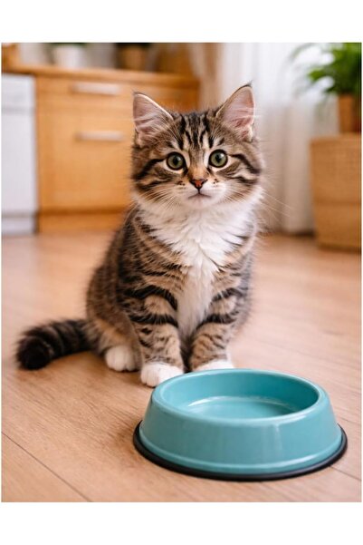 CALİBRA Cat Life Kitten Chicken 6kg