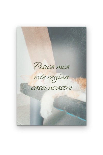 OEM Decorative Poster My cat is the queen of our house, Minimalist Design, Ca...
