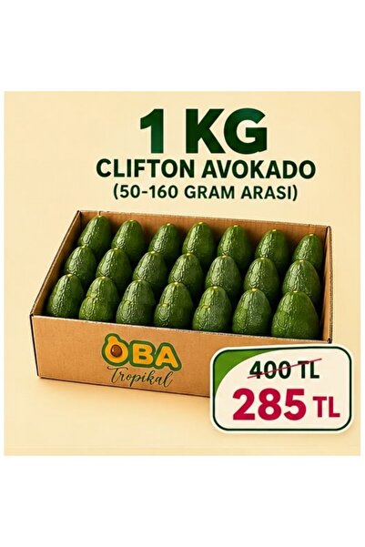 Oba Tropikal Clifton Avokado 1 kg (50-160 g Arası)