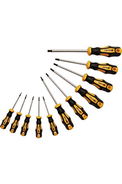BGS technic Biți de șurubelniță Torx T6-T40 cu gaură magnetică, 11 bucăți