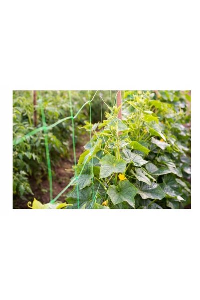 Strend Pro PLASĂ DE SUSȚINERE PENTRU PLANTE CĂPRĂIOARE, MELONE, LUNGĂ 1,5x100 m