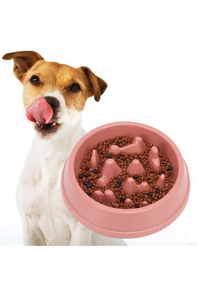 Generic Slow Feeder Small Dog Bowls, Slow Food Feeding Pet Bowl, Non Slip Puz...