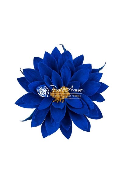 asievents Dalia conservată albastră blu03, 2 buc.