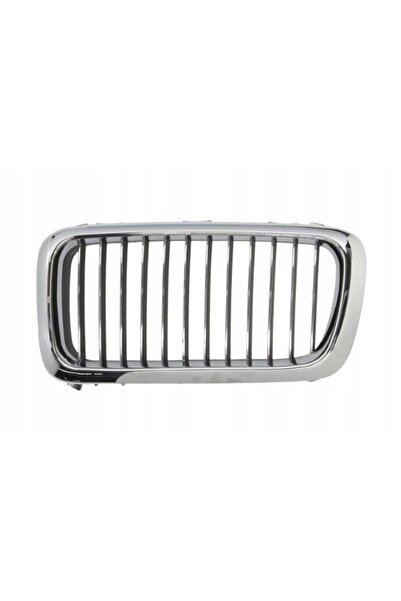 Polcar BMW 7 E38 1994-2001 grilă radiator bară de protecție stânga