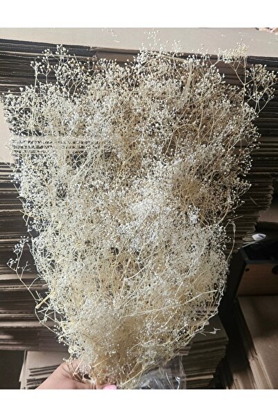 asievents Mini Gypsophila ALB-IVORIU - floarea miresei, set 2 bucati