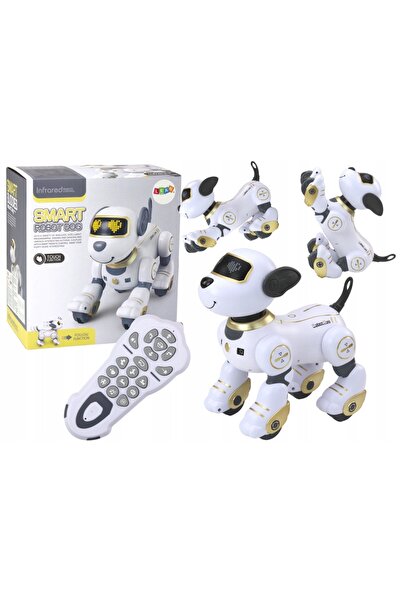 LeanToys Robot Dansator Interactiv cu Telecomandă, Urmează Instrucțiunile, Go...