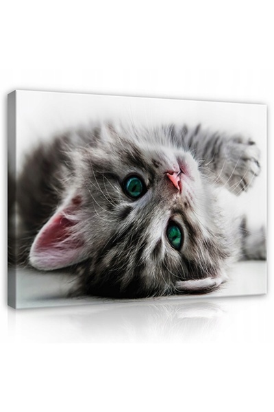 Wallarena Tablou pe pânză pentru living, Pisică Pisoi 3D, 120x80