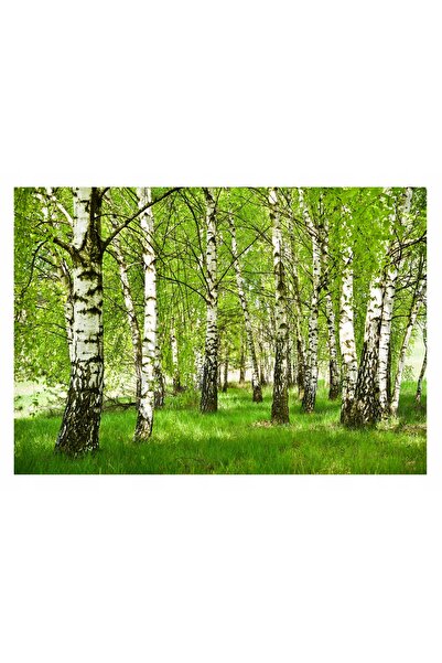 Wallarena Fototapet PĂDURE DE MĂRĂȘINI 3D Arbori de Mărașină 254x184