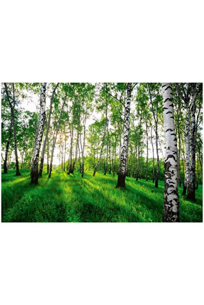Wallarena Tapet 3D cu mesteacăn pentru dormitor și living 150x105