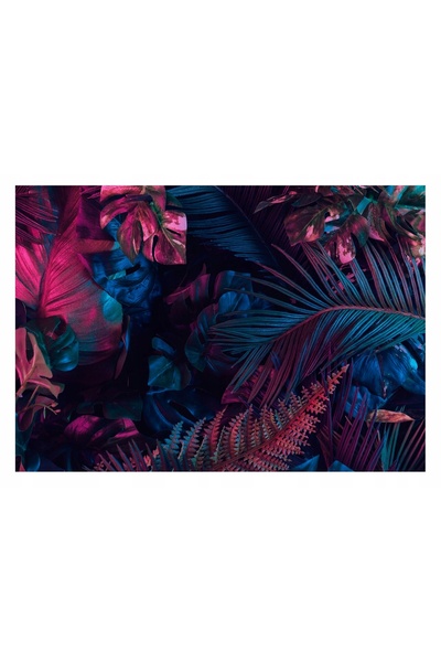 Wallarena Fototapet frunze de junglă întunecată Monstera 416x254