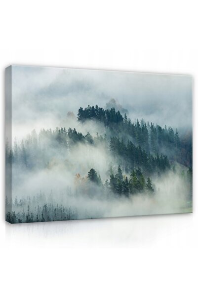 Wallarena Tablou pe pânză PĂDURE ÎN CEAȚĂ Copaci Natură 60x40