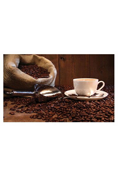 Wallarena Fototapet în bucătărie Boabe de cafea pe perete 312x219