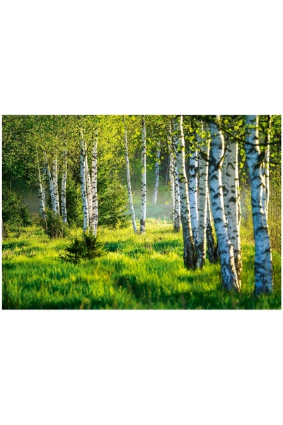 Wallarena FOTOTAPET MĂRILE DE MĂRĂȘI NATURĂ PRAIE PENTRU SUFRAGERIE DORMITOR ...