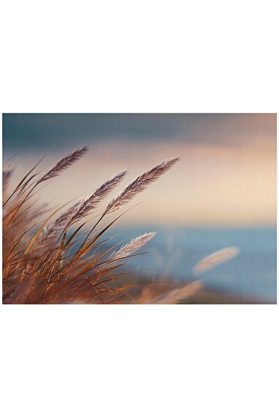 Wallarena Tapet FLIZELINA GRASS NATURA BEIGE pentru dormitor și living 350x250