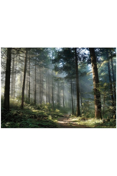 Wallarena FOTOTAPET PEISAJ NATURAL 3D CU ARBOREȚI PENTRU DORMITOR ȘI SUFRAGER...