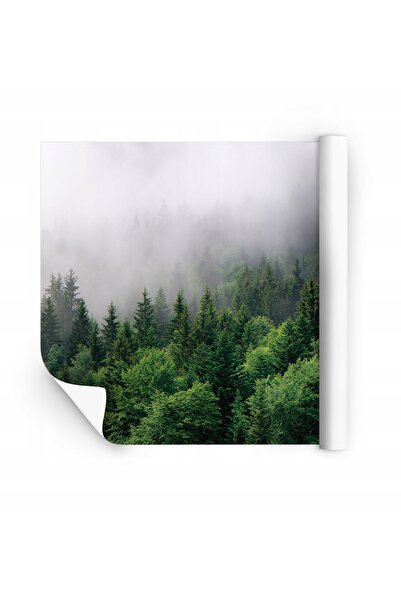 Wallarena Tapet foto personalizat las we mgle WINYLOWA