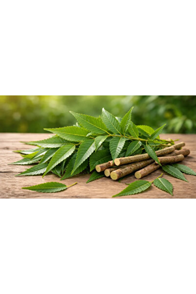 Generic FRESH NEEM LEAVES / 50 GRAM/Neem leaves / FOR ACNE FREE SKIN, HAIR GROWTH/MARGOSA/LEAVES