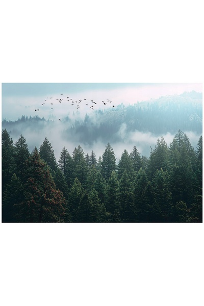 Wallarena LAS WE MGLE Tapet foto 3D din lemn cu peisaj natural pentru perete,...