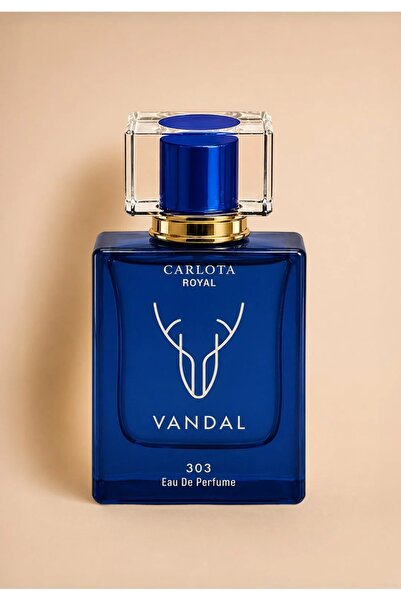 Vandal Erkek Parfüm 50ml