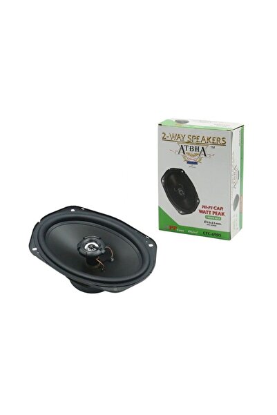 OEM Ηχείο Αυτοκινήτου 1000W 16*23mm CTC-6905 1τμχ - ATBHA 2-Way speakers