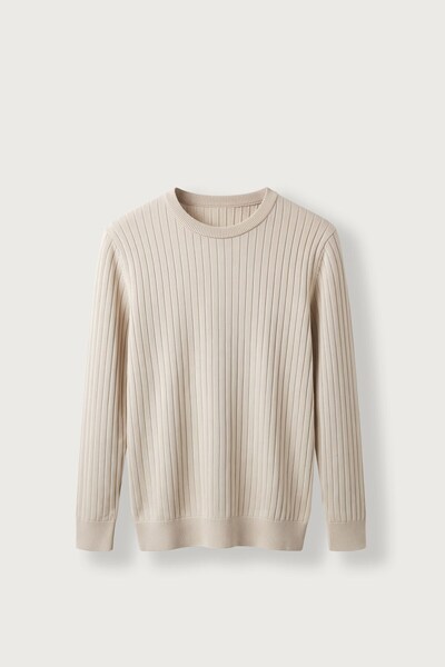 ablukaonline Men's Slim Fit Ribbed Crew Neck Knitwear Sweater Beige