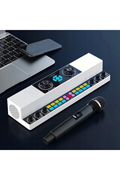Norimpex Boxă karaoke Bluetooth fără fir cu placă de sunet și două microfoane