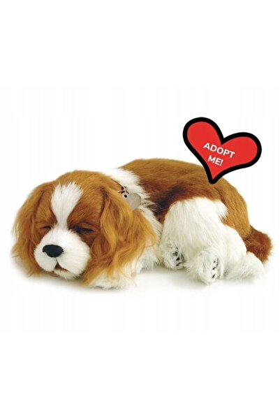 Perfect Petzzz Piesek Cavalier King Charles Mascot Respirabil pentru Somn