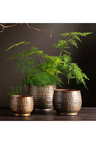 Skandi Jardinieră metalică aurie, stil retro loft, 20cm, set de 3 bucăți, pen...