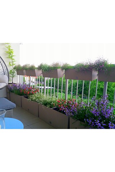 Prosperplast Donica Rato Case mocca 50 cm