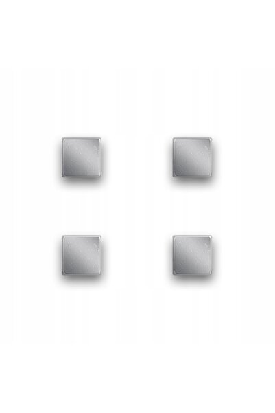 zeller MAGNETE METALICE CUBE PENTRU NOTIȚE, 4 BUCĂȚI, 0,99 X 0,99 X 1,01 CM