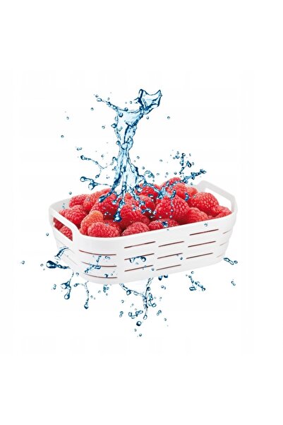 TESCOMA Recipient pentru congelator cu coș 4FOOD 2,0 l
