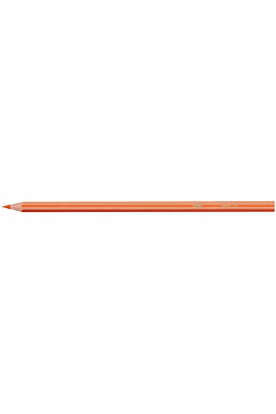 Bic KREDKI EVOLUTION STRIPES 18KOL 9126