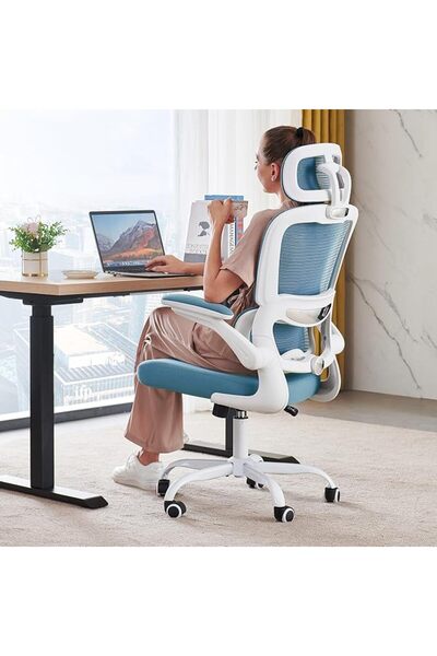 GENERAL Treatal Modern Office Gaming Reading Chair Ergonomic Lumbar Support A...